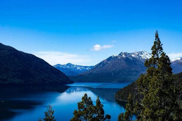 Cabane perchée en dordogne : un refuge au cœur de la nature